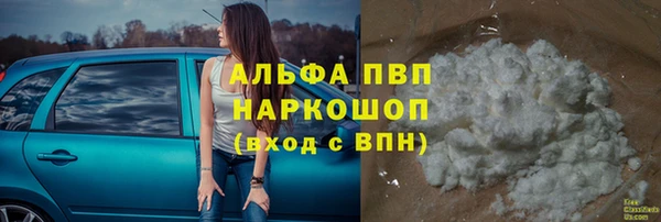 индика Ладушкин