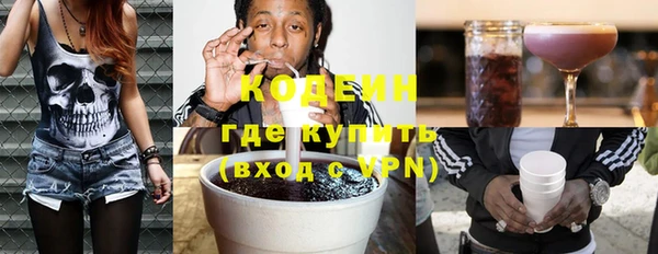 ГАЛЛЮЦИНОГЕННЫЕ ГРИБЫ Лагань