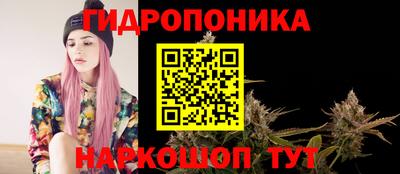 гашик Пушкино