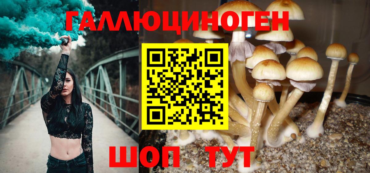 Псилоцибиновые грибы Psilocybine cubensis  Вход с VPN  Протвино  Галлюциногенные грибы Psilocybine cubensis 
