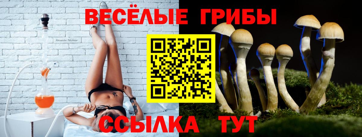 Галлюциногенные грибы прущие грибы Протвино